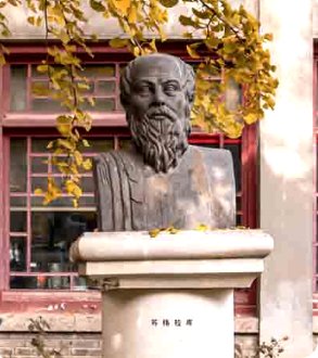 栏目用于追新