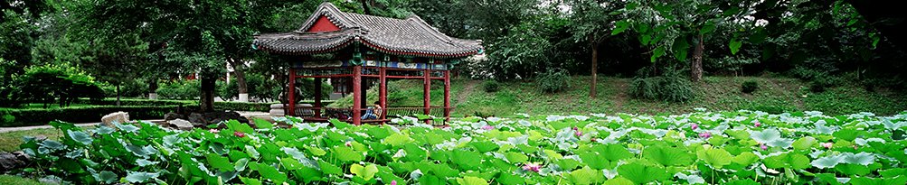 联系电话：010-62765710
